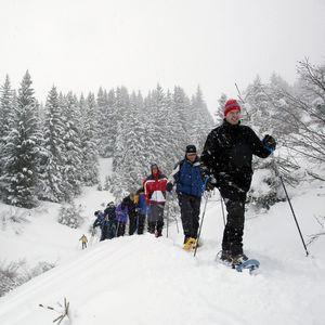 Randonnée raquette 1/2 journée