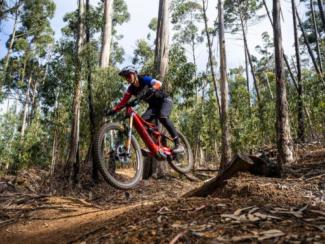 Sortie VTT Enduro avec location de vélo