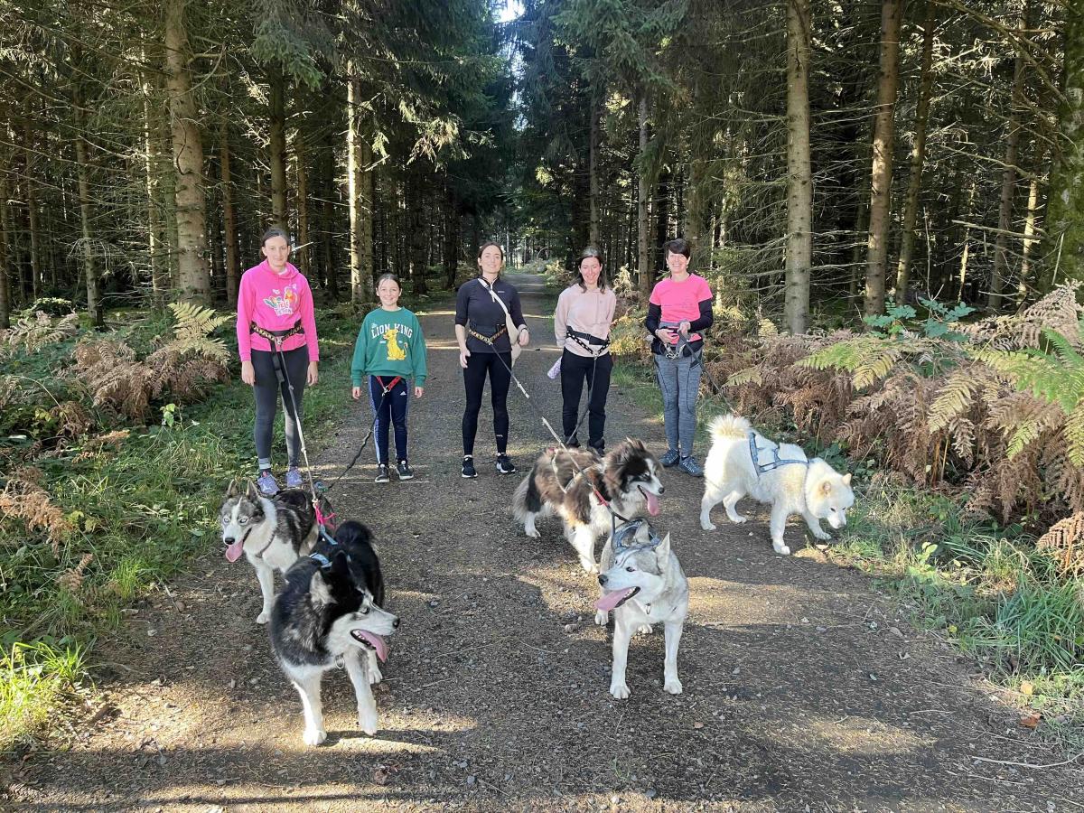 Bon cadeau Cani rando - Adulte