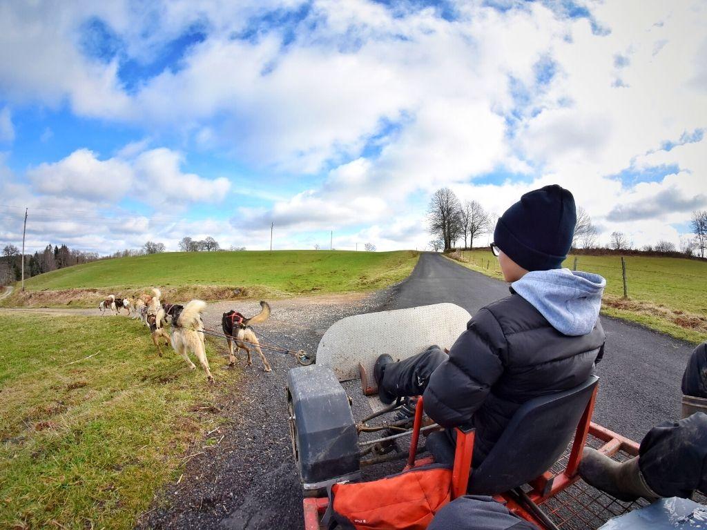 Cani-kart enfant 1h30 Chaîne des Puys