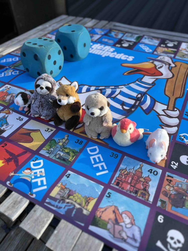 Jeu de l'oie géant - Anniversaire enfant