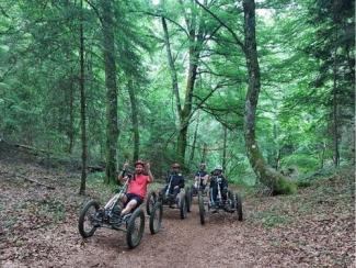 Quad Bike